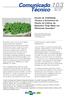 Estudo da Viabilidade Técnica e Econômica do Plantio da Cultivar de Bananeira Thap Maeo em Diferentes Estandes*
