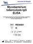 Mycobacterium tuberculosis IgG ELISA