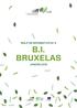 BOLETIM INFORMATIVO Nº 3 B.I. BRUXELAS