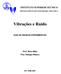 INSTITUTO SUPERIOR TÉCNICO DEPARTAMENTO DE ENGENHARIA MECÂNICA. Vibrações e Ruído GUIA DE ENSAIOS EXPERIMENTAIS. Prof. Nuno Maia Prof.