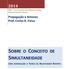 SOBRE O CONCEITO DE SIMULTANEIDADE. Propagação e Antenas Prof. Carlos R. Paiva UMA INTRODUÇÃO À TEORIA DA RELATIVIDADE RESTRITA