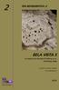 Era Monográfica 2 (2014) ERA MONOGRÁFICA -2 BELA VISTA 5. Um Recinto do Final do 3º (Mombeja, Beja) (Coordenador) ISBN: