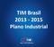 TIM Brasil Plano Industrial