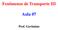 Fenômenos de Transporte III. Aula 07. Prof. Gerônimo