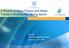 A Review of Major Players and Water Trends in the Brazilian Mining Sector. Roy Nir Economic Attaché to Brazil November 19 th, 2009