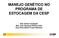 MANEJO GENÉTICO NO PROGRAMA DE ESTOCAGEM DA CESP. Biól. Danilo Caneppele Biól. João Henrique Pinheiro Dias Eng. René Alberto Fuster Belmont