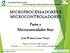 MICROPROCESSADORES E MICROCONTROLADORES Parte 2 Microcontrolador 8051