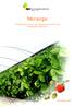 DIVULGAÇÃO AGRO 556 Nº Morango. Produção de Outono com diferentes materiais de propagação vegetativa