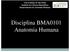 Universidade de São Paulo Instituto de Ciências Biomédicas Departamento de Anatomia Humana. Disciplina BMA0101 Anatomia Humana