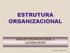 ESTRUTURA ORGANIZACIONAL. Baseado em Hall (2004)