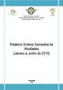 Relatório Síntese Semestral de Atividades (Janeiro a Junho de 2016)