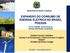 EXPANSÃO DO CONSUMO DE ENERGIA ELÉTRICA NO BRASIL PDE2026