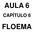 AULA 6 CAPÍTULO 6 FLOEMA