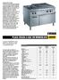 EVO900 PLACA SÓLIDA A GÁS EM MONOBLOCO ZANUSSI CARACTERÍSTICAS FUNCIONAIS E DE CONSTRUÇÃO.