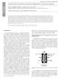 ELETROCATÁLISE DAS REAÇÕES DE OXIDAÇÃO DE HIDROGÊNIO E DE REDUÇÃO DE OXIGÊNIO