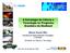 A Estratégia de Ciência e Tecnologia no Programa Brasileiro de Biodiesel