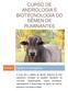 CURSO DE ANDROLOGIA E BIOTECNOLOGIA DO SÊMEN DE RUMINANTES