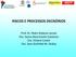 RISCOS E PROCESSOS DECISÓRIOS. Prof. Dr. Pedro Roberto Jacobi Dra. Samia Nascimento Sulaiman Dra. Silvana Cutolo Dra. Sara Gurfinkel M.