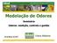 1. Problemas de Odores 2. Enquadramento da modelação na avaliação da qualidade do ar 3. Modelos de qualidade do ar 4. Modelação de odores 5.