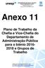 Anexo 11. Plano de Trabalho da Chefia e Vice-Chefia do Departamento de Administração Pública para o biênio e Grupos de Trabalho