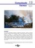 Nota sobre o aumento das queimadas na Amazônia no bimestre de Julho e Agosto de 2005.
