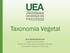 Taxonomia Vegetal. Iane Barroncas Gomes Engenheira Florestal Mestre em Ciências de Florestas Tropicais. Professora Assistente CESIT-UEA