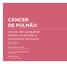 CÂNCER DE PULMÃO. Células não-pequenas: doença localizada e localmente avançada. PEDRO AGUIAR JR Oncoterapia, SP