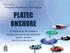 Programa Plataformas Tecnológicas PLATEC ONSHORE. 1º Workshop Tecnológico Sondas de Perfuração Onshore FIEMG BH/MG 04 e 05 de julho de 2012