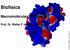 Biofísica. Macromoléculas Biológicas. Prof. Dr. Walter F. de Azevedo Jr Dr. Walter F. de Azevedo Jr.