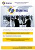 Bralmex Comércio, Serviço e Distribuidora de Materiais em Geral Eireli EPP.