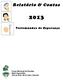 Relatório & Contas. Testemunhos de Esperança. Corpo Nacional de Escutas Núcleo Cego do Maio Póvoa de Varzim, Vila do Conde e Esposende