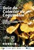 Guia do Colector de Cogumelos