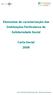Elementos de caracterização das Instituições Particulares de Solidariedade Social. Carta Social 2008