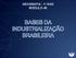 GEOGRAFIA - 1 o ANO MÓDULO 46 BASES DA INDUSTRIALIZAÇÃO BRASILEIRA