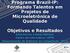 Programa Brazil-IP: Formando Talentos em Projetos de Microeletrônica de Qualidade