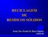 RECICLAGEM DE RESÍDUOS SÓLIDOS. Profa. Dra. Wanda M. Risso Günther FSP/USP