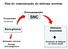 SNC. Vias de comunicação do sistema nervoso. Receptores. Processamento. Sistemas sensoriais. Transmissão. Via aferente