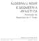 ÁLGEBRA LINEAR E GEOMETRIA ANALÍTICA. Resolução da Repetição do 1º Teste