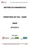SINTESE DO DIAGNÓSTICO TERRITÓRIO DE PAZ DAMÉ BAGÉ 2010/2011