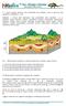 DATAÇÃO RELATIVA. 1- A figura seguinte representa uma determinada área geológica, onde se observam duas sequências estratigráficas, A e B.