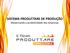 SISTEMA PRODUTTARE DE PRODUÇÃO Alavancando a produtividade das empresas