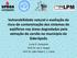 Lucas R. Gonçalves Prof. Dr. Jair C. Koppe Prof. Dr. João Felipe C. L. Costa