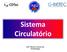 Sistema Circulatório. Prof a. Marta G. Amaral, Dra. Histofisiologia