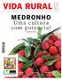 Medronho: uma cultura com grande potencial