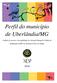 Perfil do município de Uberlândia/MG. Análise do acesso e da qualidade da Atenção Integral à Saúde da população LGBT no Sistema Único de Saúde