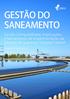 GESTÃO DO SANEAMENTO. Gestão Compartilhada: Implicações e Mecanismos de Implementação da Decisão do Supremo Tribunal Federal