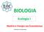 BIOLOGIA. Ecologia I. Matéria e Energia nos Ecossistemas. Professora: Brenda Braga