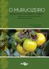 O MURUCIZEIRO. [Byrsonima crassifolia (L.) H.B.K.]: avanços no conhecimento e ações de pré-melhoramento. Fábio de Lima Gurgel Editor técnico