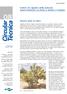 Cultivo do cajueiro anão precoce: Aspectos fitotécnicos com ênfase na adubação e na irrigação
