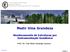 Medir Uma Grandeza. Monitoramento de Estruturas por Instrumentação Geodésica. Prof a. Dr a. Ana Paula Camargo Larocca